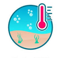 Rising Ocean Temperatures