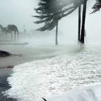 Storm Surges and Tsunamis Transport Species